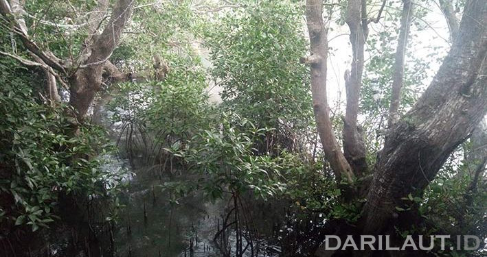 Hasil Penelitian: Pulau Ambon Rentan Terhadap Intrusi Air Laut