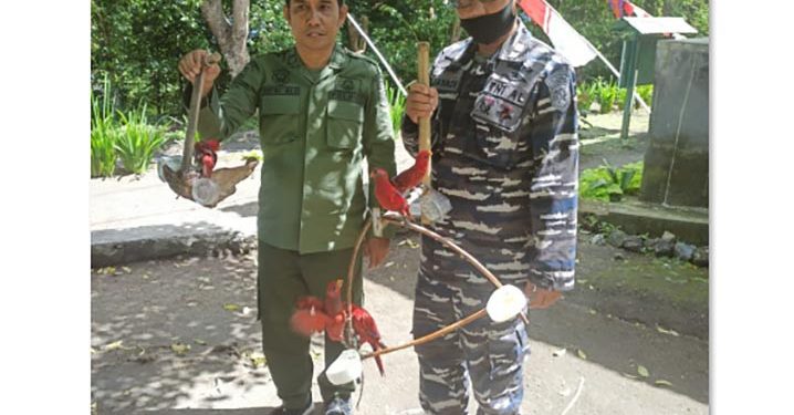 Kapal Jadi Tempat Pelihara Nuri Maluku, Burung yang Dilindungi