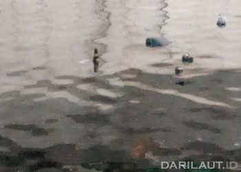 Sensor Pendeteksi Air yang Tercemar