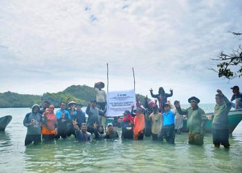 Transplantasi Karang di TN Wakatobi