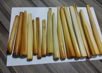 KLHK Tangkap Pelaku Perdagangan Cula Badak dan Gading Gajah