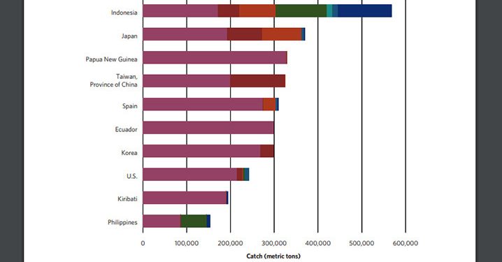 Laporan Terbaru, Indonesia Penangkap Ikan Tuna Terbesar di Dunia