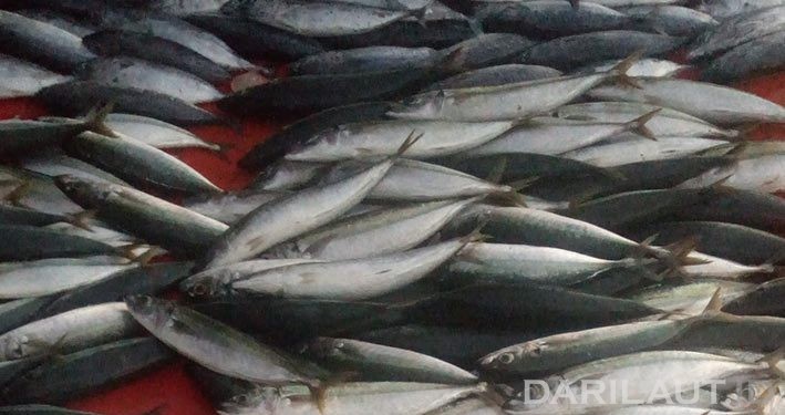 Inovasi Ketahanan Pangan di Masa Pandemi Covid-19