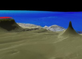 Struktur terumbu karang raksasa yang baru ditemukan di Queensland, Australia, 20 Oktober 2020. GAMBAR: SCHMIDT OCEAN INSTITUTE