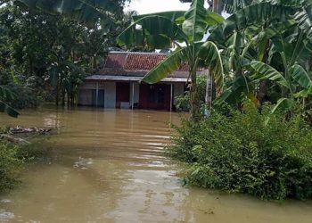 Banjir di Cilacap Meluas