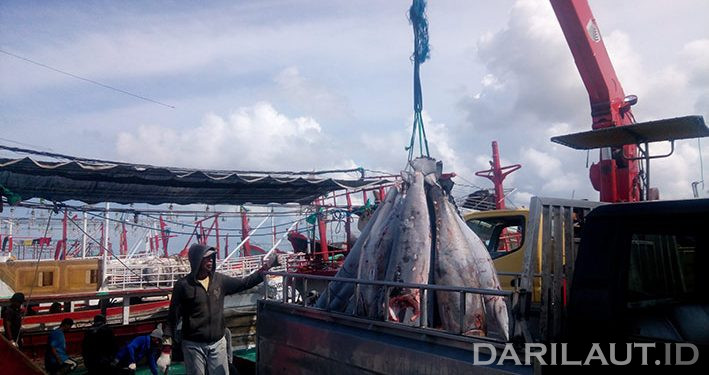 Negara di Samudera Hindia Bahas Sektor Perikanan yang Terpuruk Akibat Pandemi Covid-19