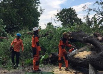 Angin Kencang Melanda Maros