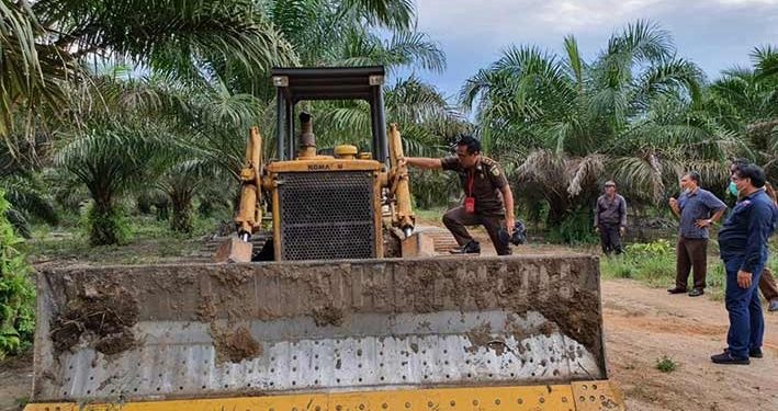 Kasus Dugaan Perusakan Mangrove Diserahkan ke Kejaksaan Belitung