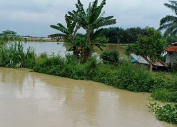 Hujan dan Pasang Air Laut Memicu Banjir di Serdang Bedagai