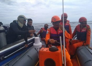 Peneliti Pola Gerak Hiu yang Hilang Perairan Gili Tepekong Belum Ditemukan