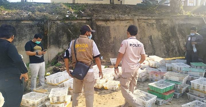 Tim Gabungan Gagalkan Penyelundupan Ribuan Burung