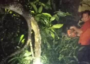 Angin Kencang di Lampung Timur, Pergerakan Tanah di Sukabumi