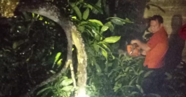 Angin Kencang di Lampung Timur, Pergerakan Tanah di Sukabumi