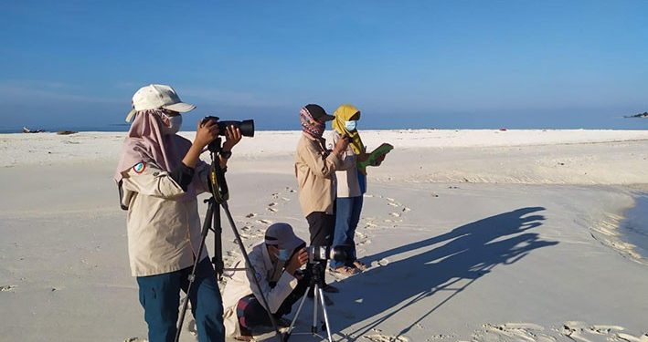 Balai TN Taka Bonerate Inventarisasi 15 Jenis Burung Laut
