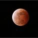Malam Ini Puncak Gerhana Bulan Super