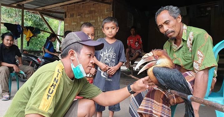 Burung Endemik Sumba Ikut Terdampak Badai Seroja