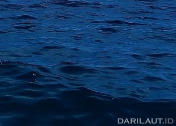 Seluruh Awak KM Bandar Nelayan 188 Selamat, Berhasil Dievakuasi Kapal Ikan Jepang