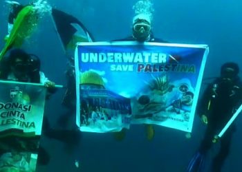 Solidaritas Untuk Palestina Dari Bawah Laut Gorontalo