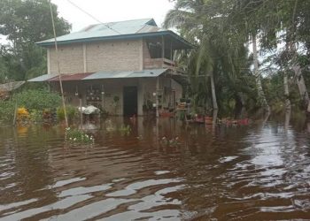 Banjir di Kecamatan Trumon Tengah, Kabupaten Aceh Selatan, Provinsi Aceh, Jumat (21/5). FOTO: BPBD Kabupaten Aceh Selatan/BNPB