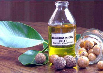 B30 Langkah Awal Pengembangan Bioenergi