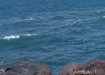 BPPT Kembangkan Teknologi Struktur Pelindung Pantai