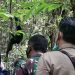 KLHK Melepas Siamang, Kukang dan Kucing Hutan di Sungai Penuh