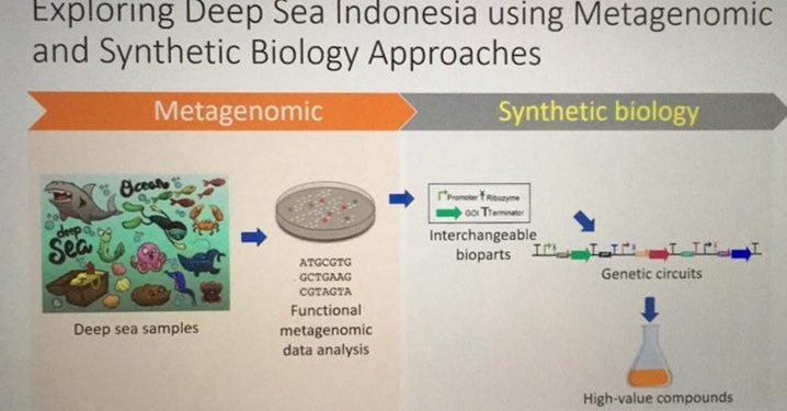 Potensi Bioprospeksi Laut Indonesia