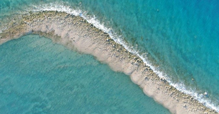 Foto: Terumbu Karang yang Rusak Akibat Siklon Seroja