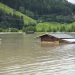 Banjir di Salzburg, Austria, Juli 2021. Sungai Salzach yang meluap di dekat Mittersil. FOTO: NEUMAYR/BREUER VIA FLOODLIST.COM