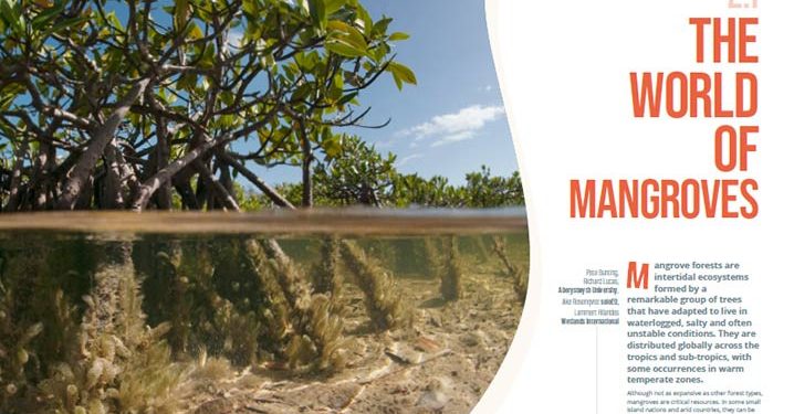 100 Penulis Berbagi Kisah Menarik tentang Mangrove