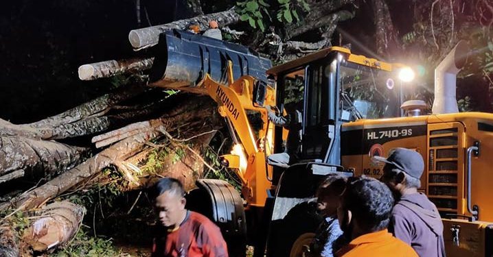 2 Warga Kepahiang Meninggal Dunia Karena Angin Kencang