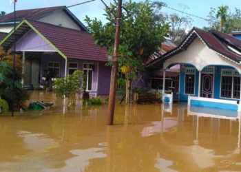 Banjir Melanda Pulang Pisau, Kapuas Hulu, Kotawaringin Barat dan Aceh Timur