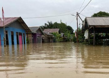 Banjir Melanda Tanah Bumbu