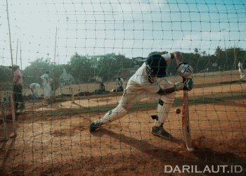 Cricket and Big Data: How Teams Use Analytics to Win Matches in 2025 and Beyond