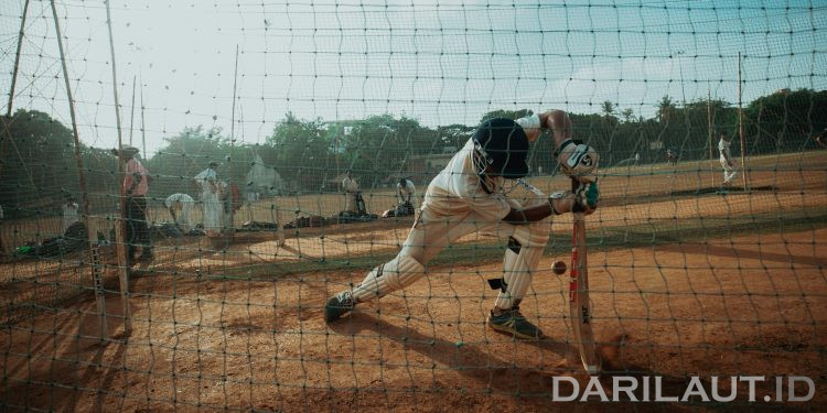 Cricket and Big Data: How Teams Use Analytics to Win Matches in 2025 and Beyond