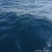 Ilustrasi gelombang air laut. FOTO: DARILAUT.ID