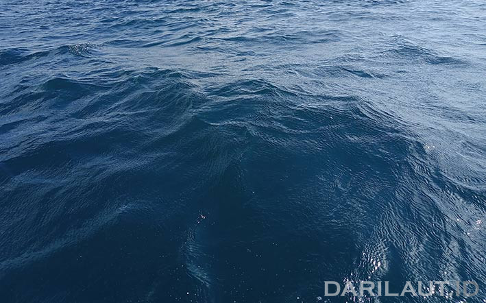 Ilustrasi gelombang air laut. FOTO: DARILAUT.ID