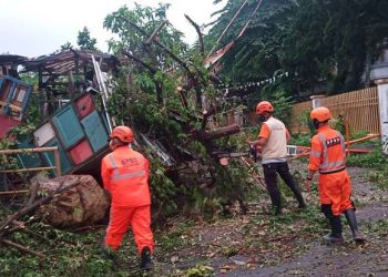 Angin Kencang Merusak Candi, Fasilitas Umum dan Rumah