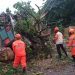 Angin Kencang Merusak Candi, Fasilitas Umum dan Rumah