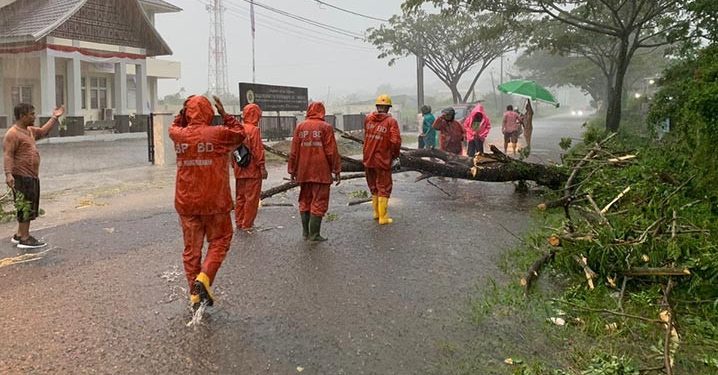 Longsor, Banjir dan Angin Kencang Menerjang Padang Pariaman, Kaur dan Aceh Barat