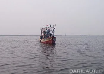 Konsentrasi Parasetamol di Teluk Jakarta Tinggi