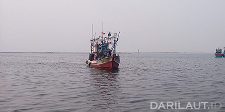 Konsentrasi Parasetamol di Teluk Jakarta Tinggi