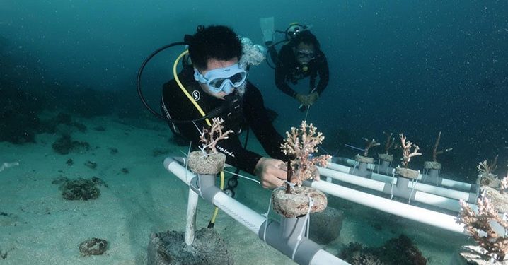 ISKU Terus Bersinergi untuk Pembangunan Sektor Kelautan