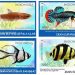 Ikan-ikan Hias Endemik yang Jadi Gambar Prangko