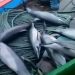 Lumba-lumba yang terjaring kapal perikanan Pacitan. FOTO: KKP