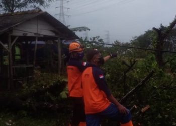 Petugas BPBD Kabupaten Batang membersihkan ranting dan pohon tumbang akibat angin kencang yang terjadi di Kecamatan Tulis, Batang, Jawa Tengah, Minggu (23/1). FOTO: BPBD Kabupaten Batang/BNPB