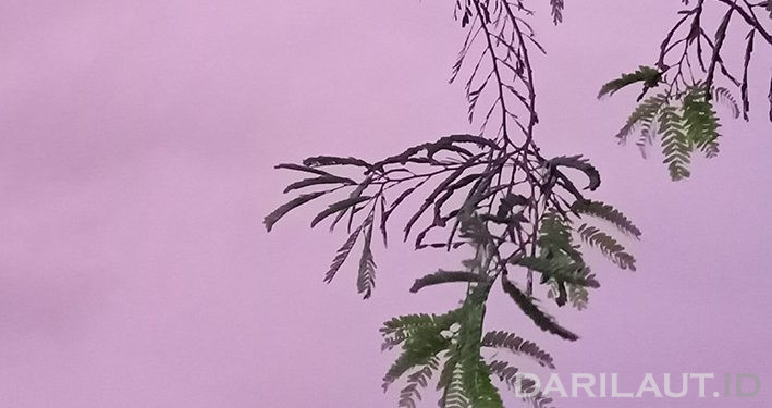 Angin Kencang Merusak Puluhan Rumah di Bantaeng