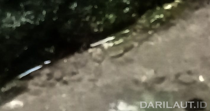 Menyumbang 99% di Bumi, Air Tanah Sering Kurang Dihargai