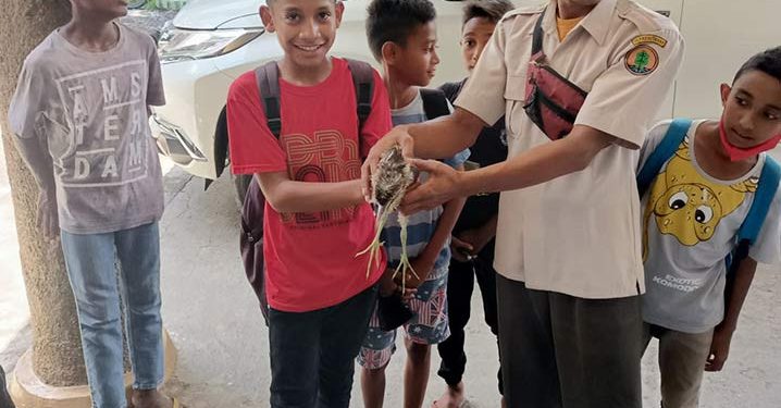 Siswa di Ende Serahkan Burung yang Dilindungi