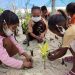 12.240 Bibit Mangrove yang Hanyut Saat Muson Barat Ditanam di TN Taka Bonerate